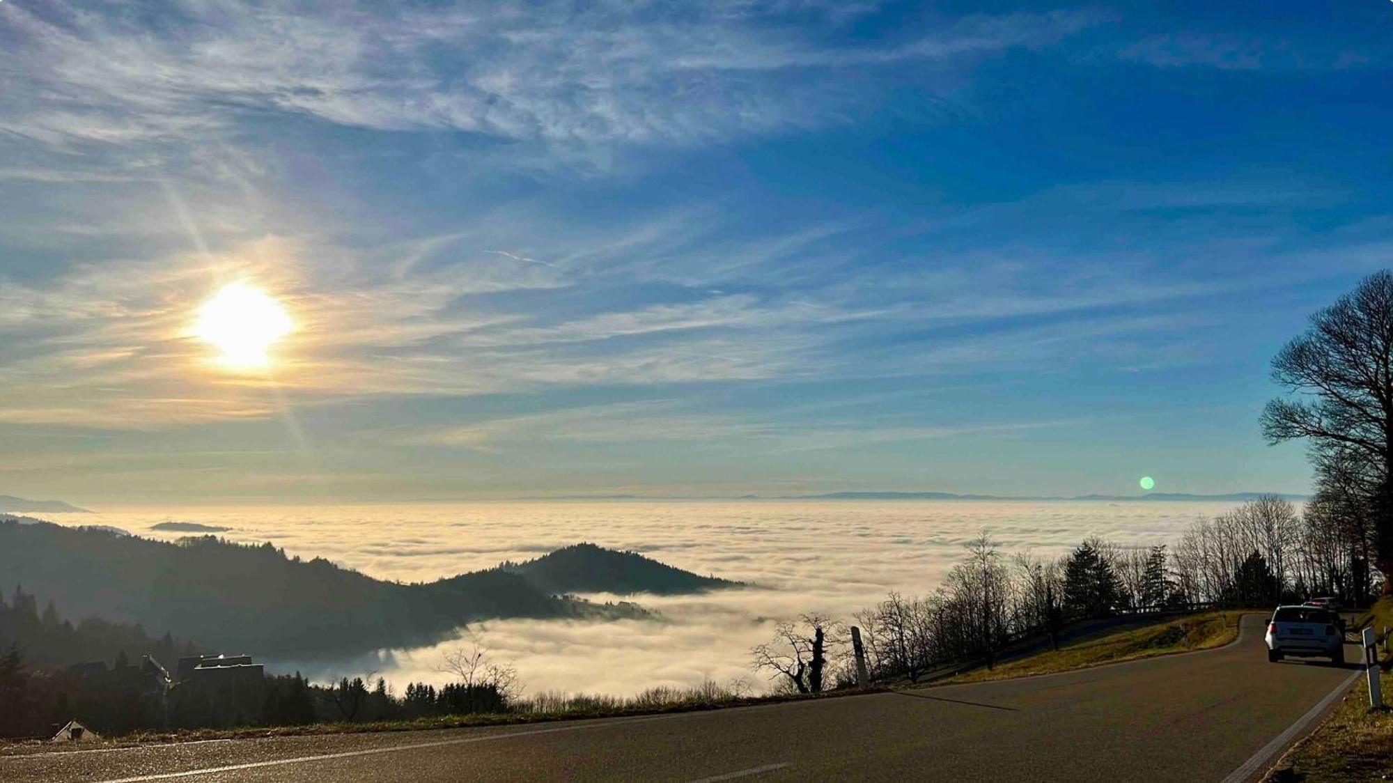 ザスバッハヴァルデンAn Wanderwegen Gelegen Mit Terrasse Und Boxspringbettアパートメント エクステリア 写真
