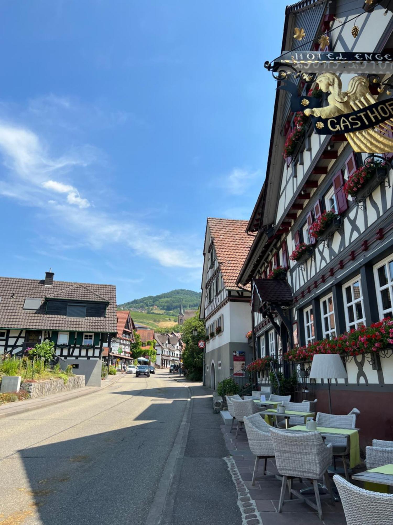 ザスバッハヴァルデンAn Wanderwegen Gelegen Mit Terrasse Und Boxspringbettアパートメント エクステリア 写真