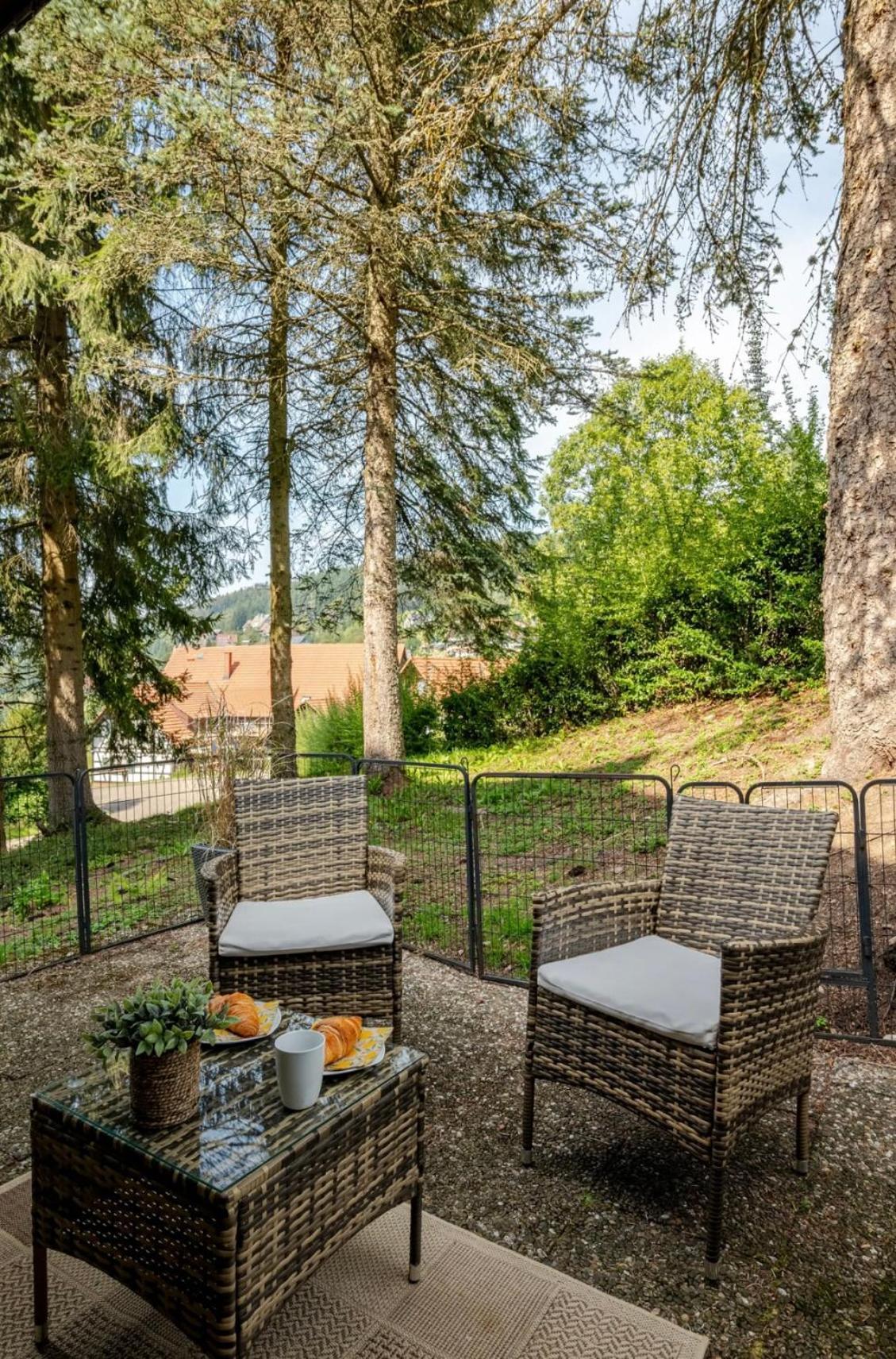 ザスバッハヴァルデンAn Wanderwegen Gelegen Mit Terrasse Und Boxspringbettアパートメント エクステリア 写真