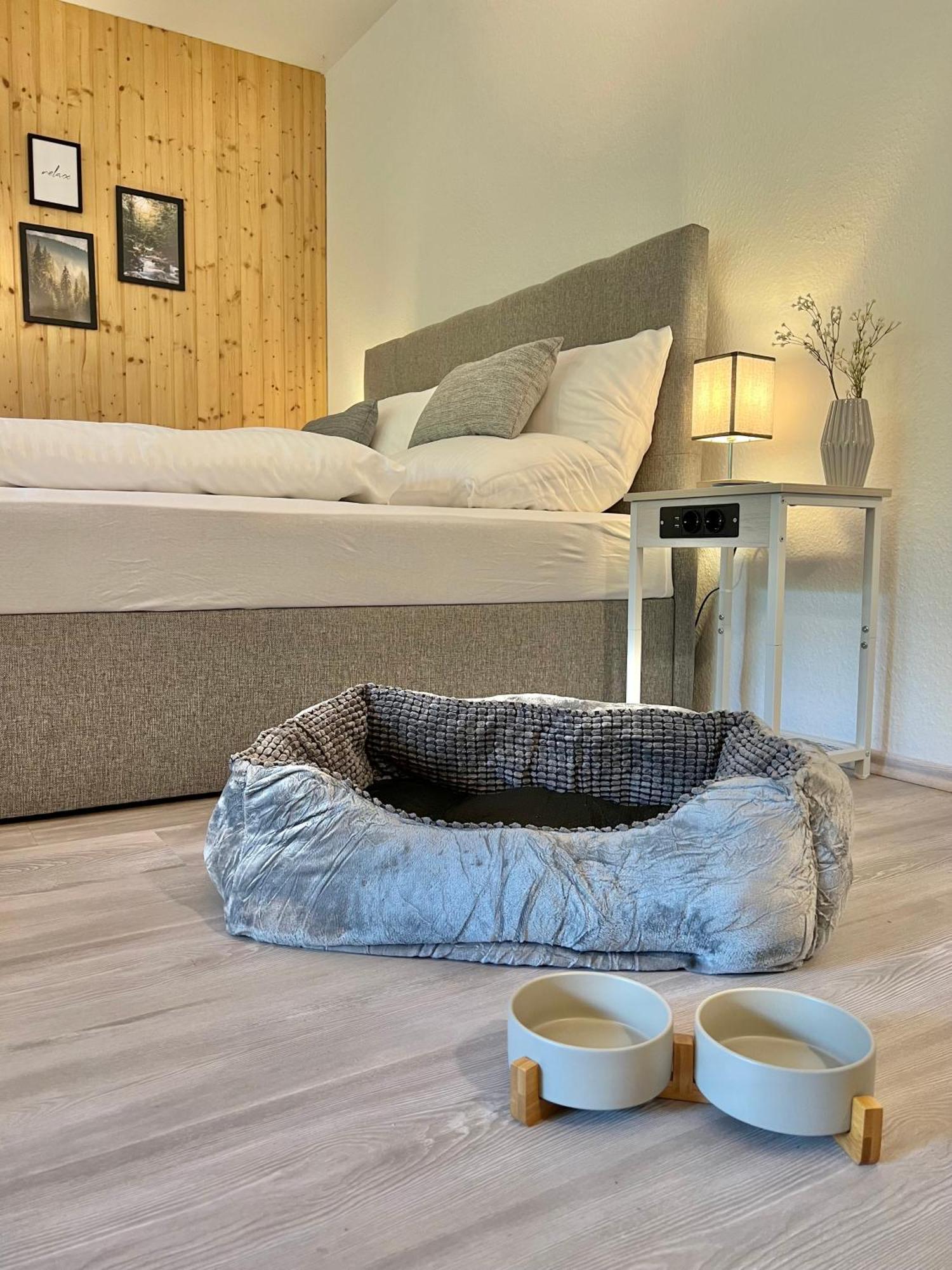 ザスバッハヴァルデンAn Wanderwegen Gelegen Mit Terrasse Und Boxspringbettアパートメント エクステリア 写真