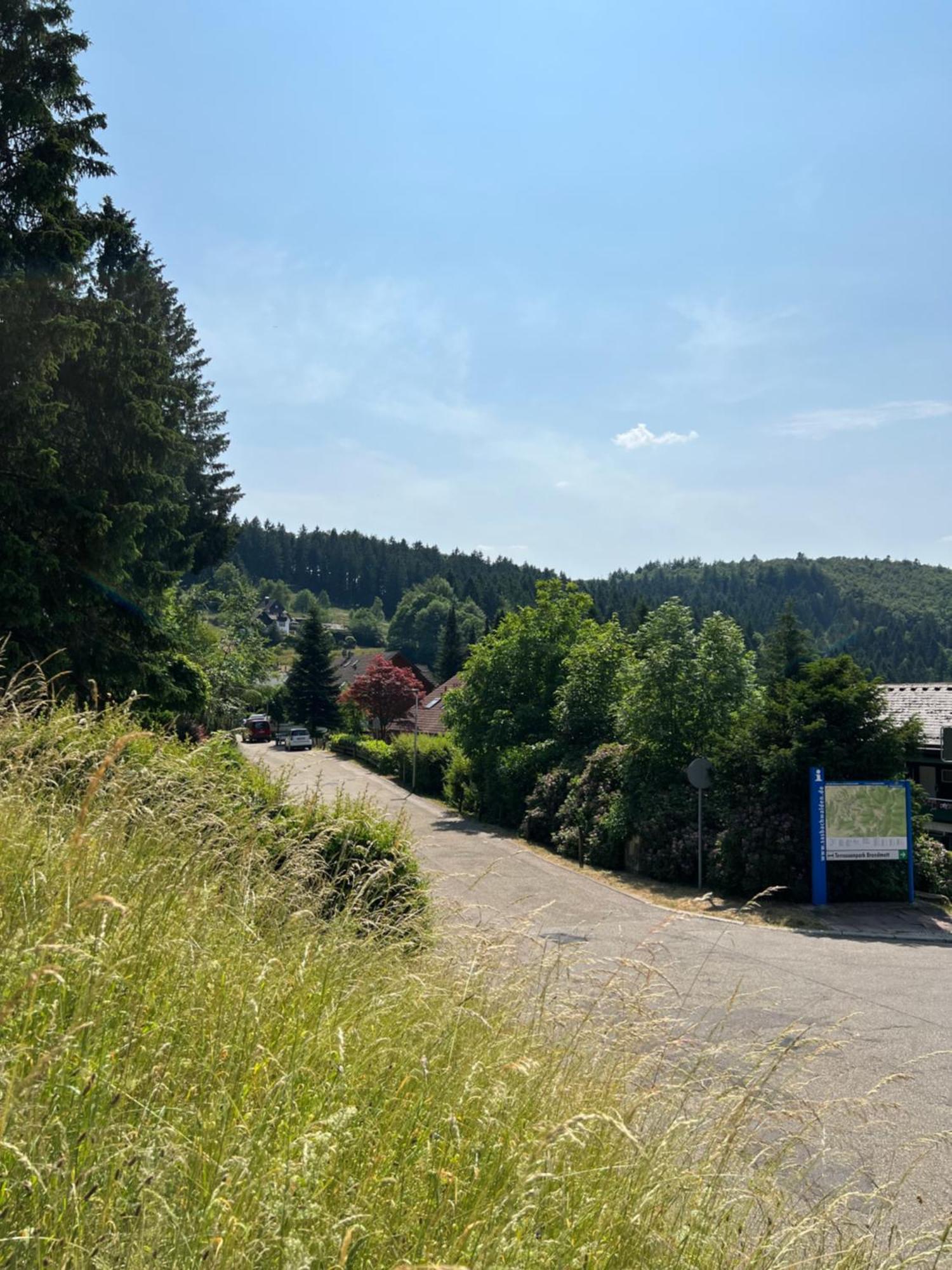 ザスバッハヴァルデンAn Wanderwegen Gelegen Mit Terrasse Und Boxspringbettアパートメント エクステリア 写真